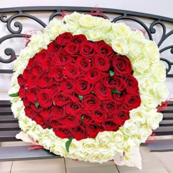Букет 101 красно-белая роза Артикул - 172811