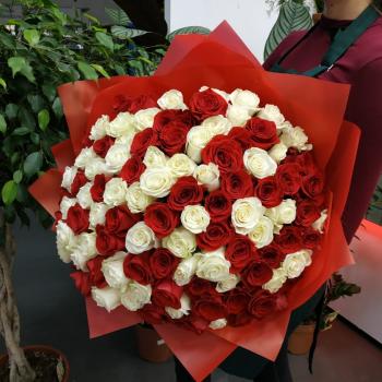 Букет Букет из 101 розы (красные и белые розы) (Артикул  100831)