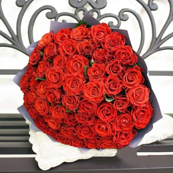 Красная роза Эквадор 51 шт (articul: 175761)