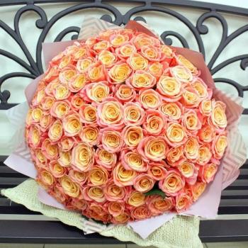 Букет Оранжевые розы Эквадор 101 шт (50 см) №  176174